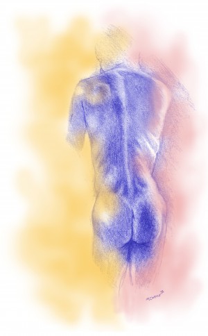 Male nude